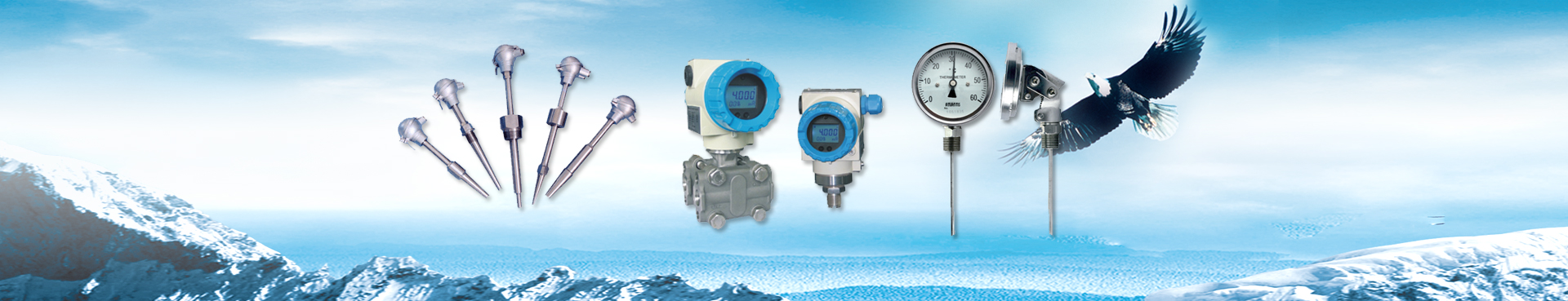 公司產(chǎn)品:K型熱電偶,熱電偶,熱電阻,變送器,雙金屬溫度計(jì)