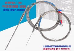 N型熱電偶WRN ></A>
</DD>
<DT><A href=